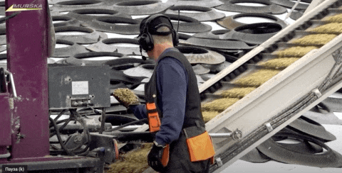 Зерно Murska упаковка зерна и хранение Packer мешки 