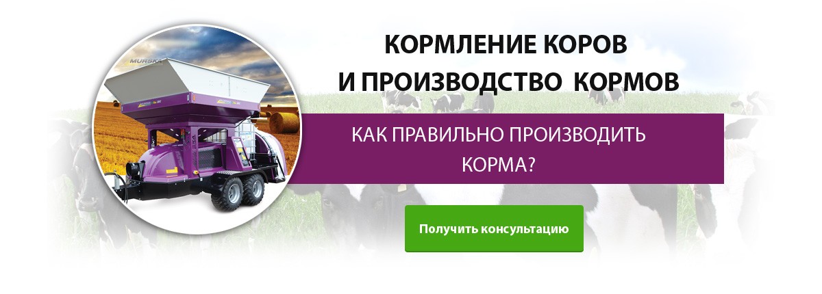 Производство кормов для кормления коров