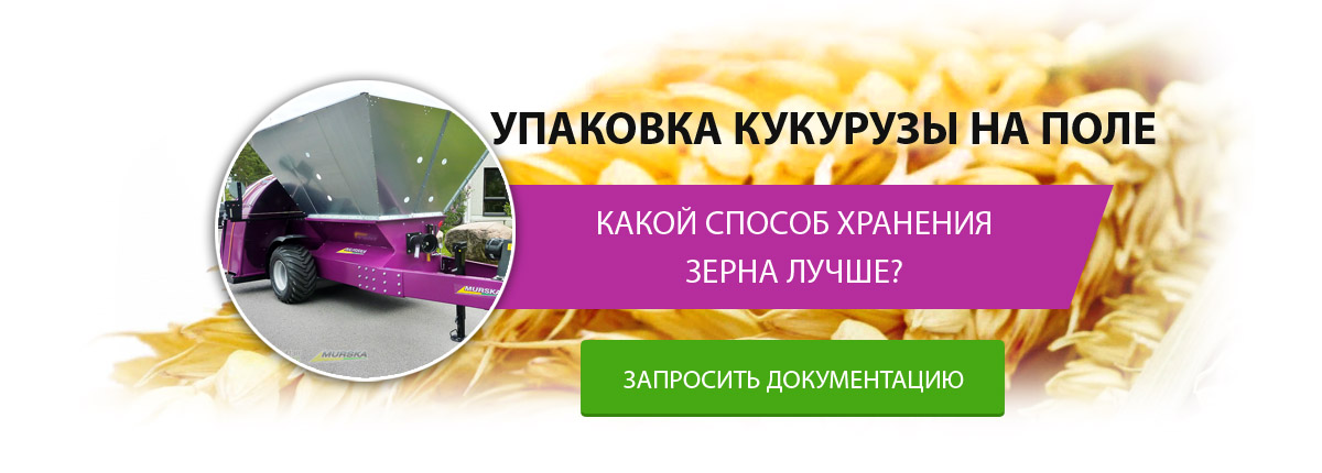 Упаковка кукурузы на поле