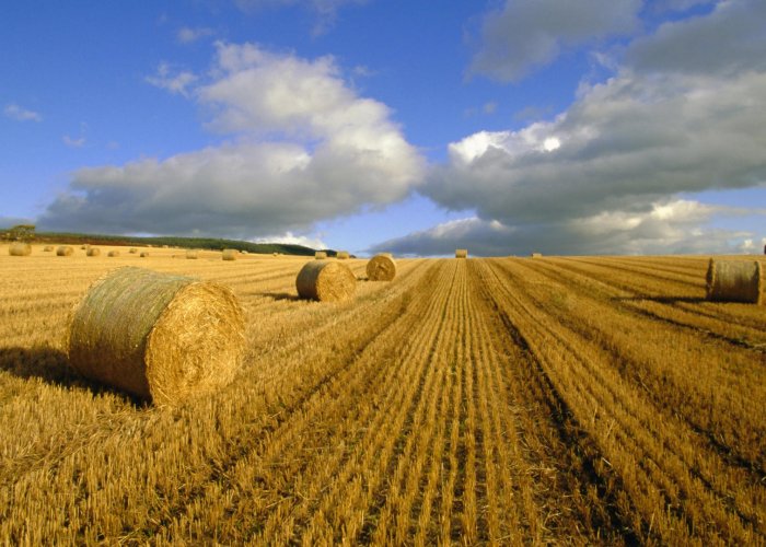 Силосейв Экстрим, химический консервант, 260 кг