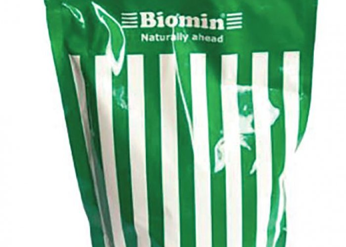 Консервант Биомин Биостабил Плюс POWER для силосования зеленой массы трав, 1 кг