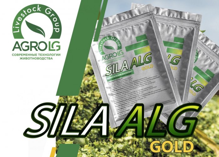 Биоконсервант Sila ALG SILVER