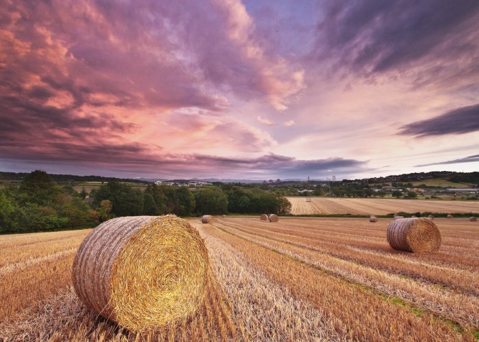 Химический консервант ФОРМАСИД 1