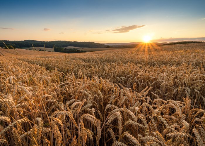 Химический консервант ФОРМАСИД 2