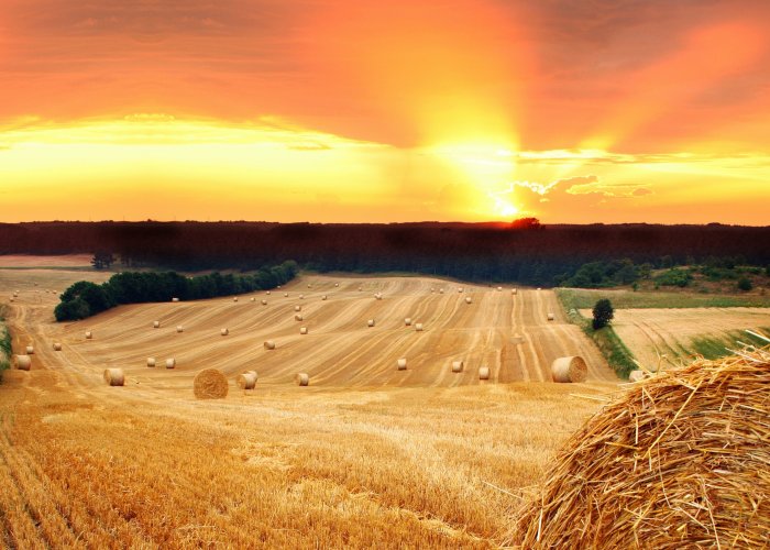 Берзайм Х 200 000