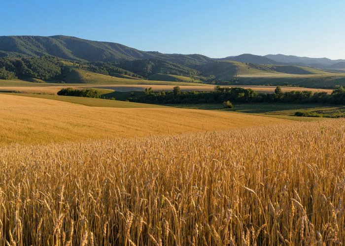 Кормовая добавка для шрота