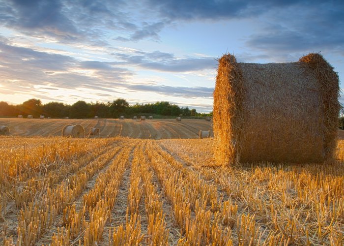Ферментный препарат Фидбест Р