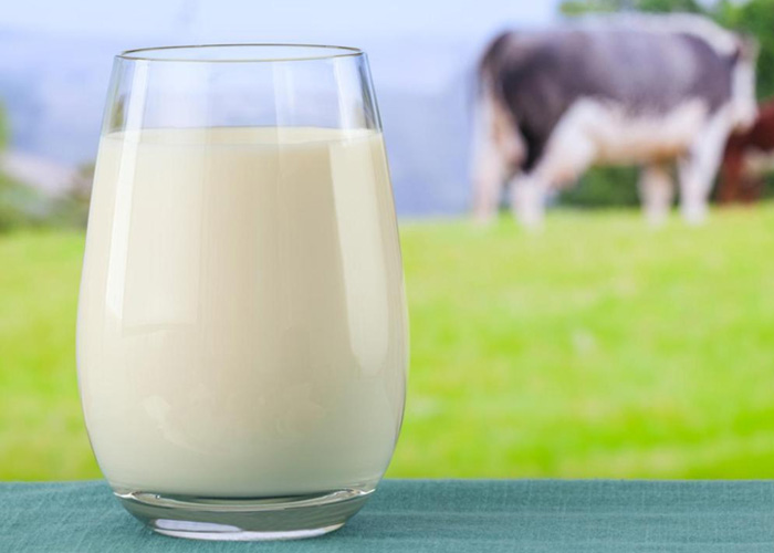 Какие виды молока существуют и его состав
