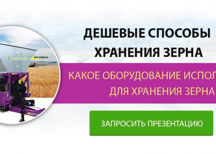 Дешевые способы хранения зерна