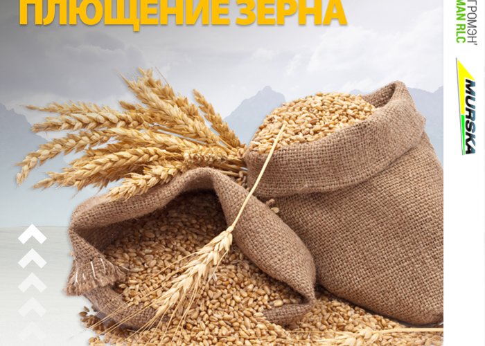 Услуга плющение зерна, овса, кукурузы, ячменя на заказ