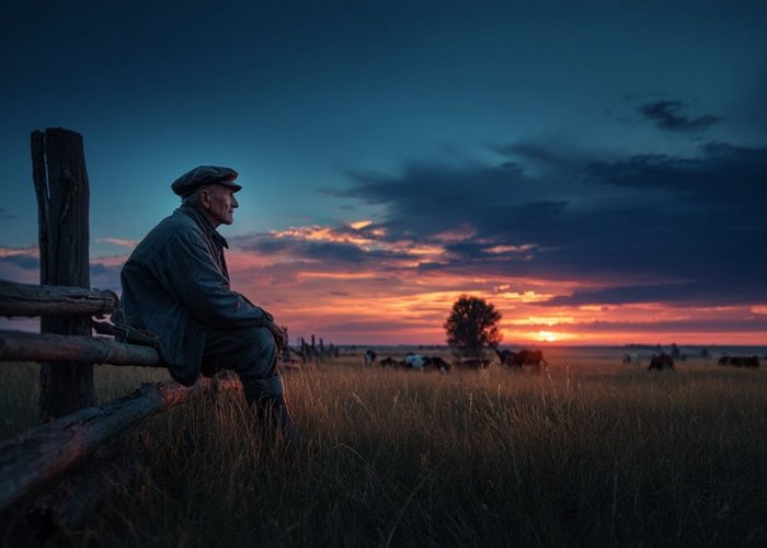 Как подобрать плющилку Мурска по вальцам для плющения влажного зерна тритикале