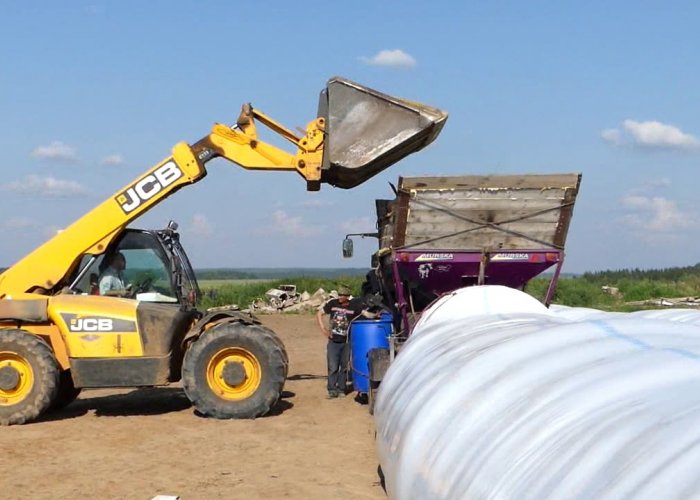 Применение Мурска в производстве кормов для КРС