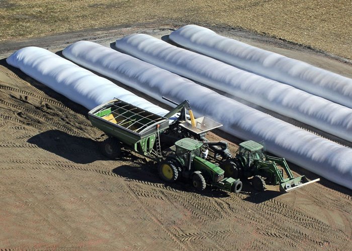 Хранение плющеного зерна