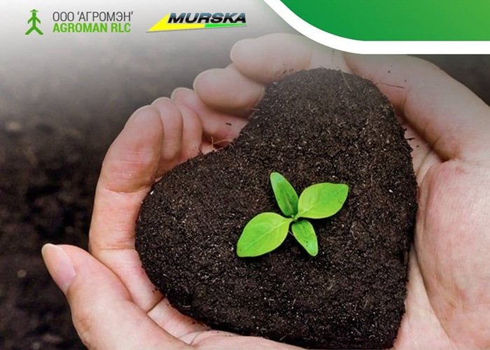 Навоз и торф признаны полезными удобрениями 