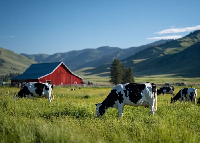 Оборудование для хранения зерна