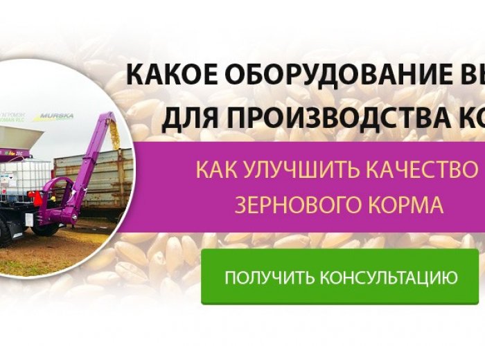 Какое оборудование выбрать для производства корма