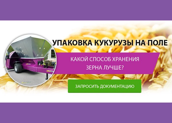 Упаковка кукурузы на поле